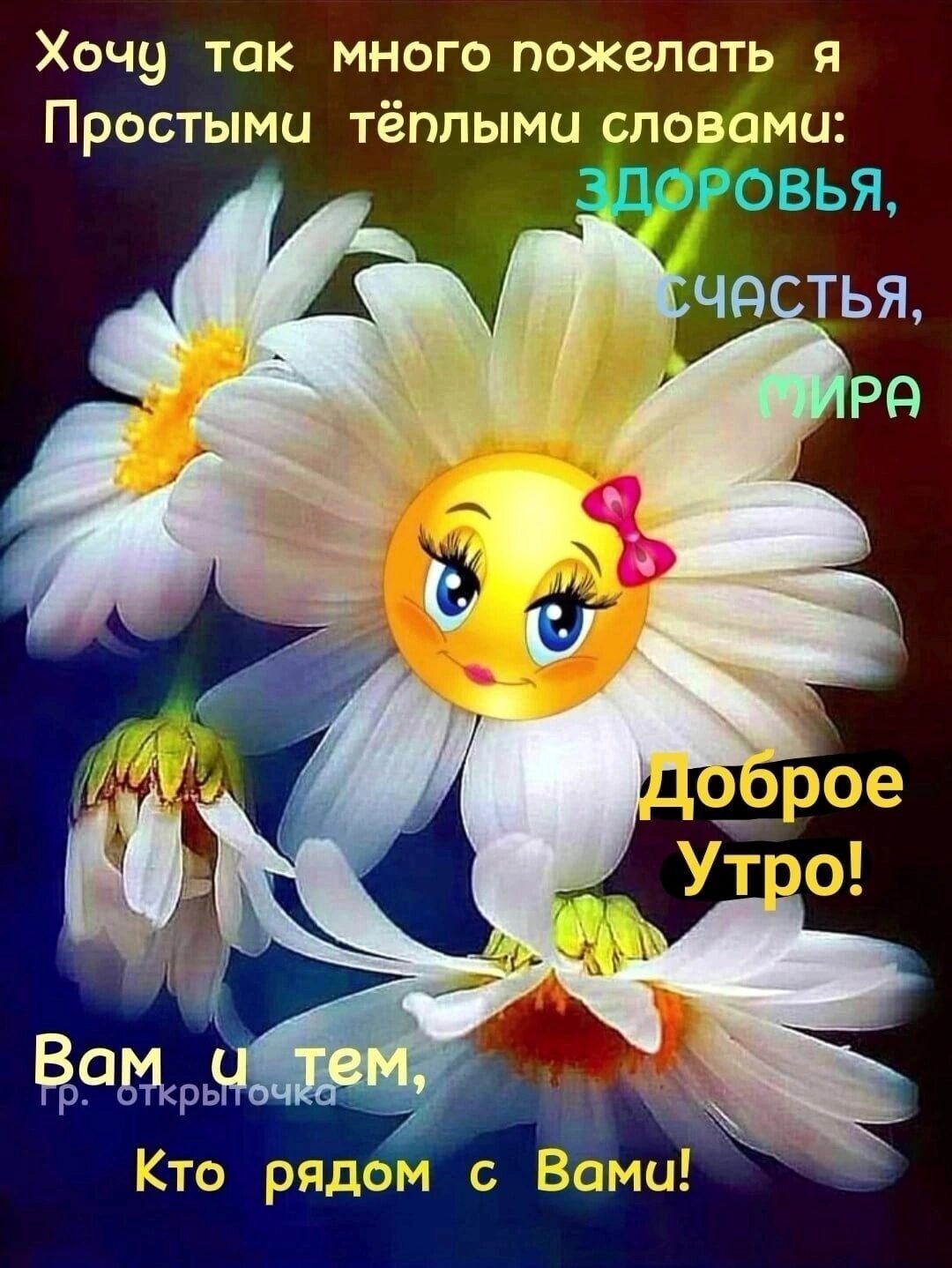 Хочу так много пожелать я Простыми тёплыми словами ЗДОРОВЬЯ