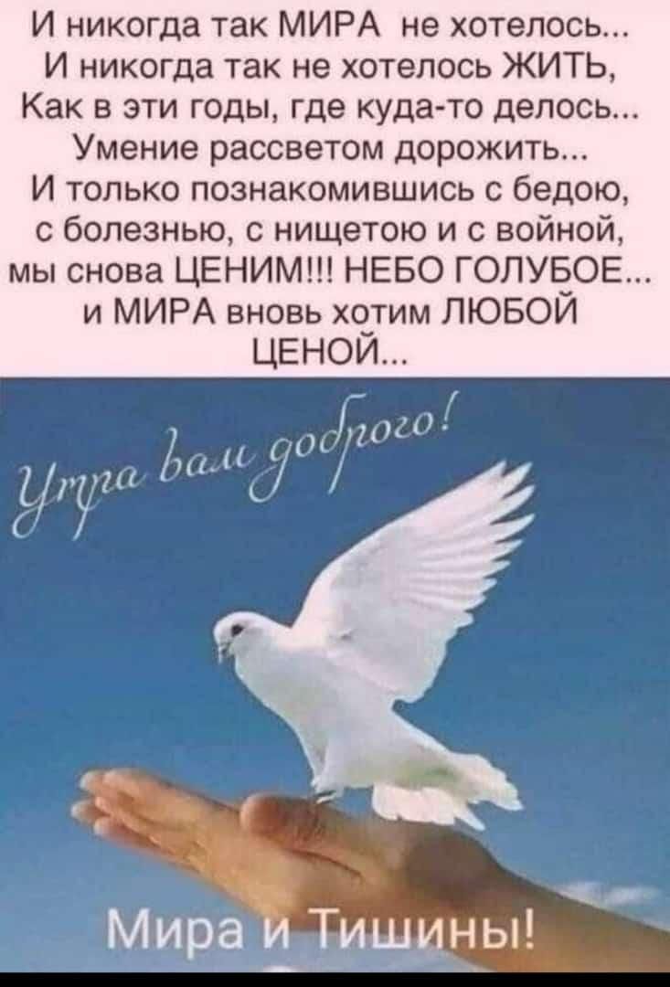 И никогда так МИРА не хотелось И никогда так не хотелось ЖИТЬ Как в эти годы где куда то делось Умение рассветом дорожить И только познакомившись бедою с болезнью нищетою и с войной мы снова ЦЕНИМ НЕБО ГОЛУБОЕ и МИРА вновь хотим ЛЮБОЙ Мираідшщмы