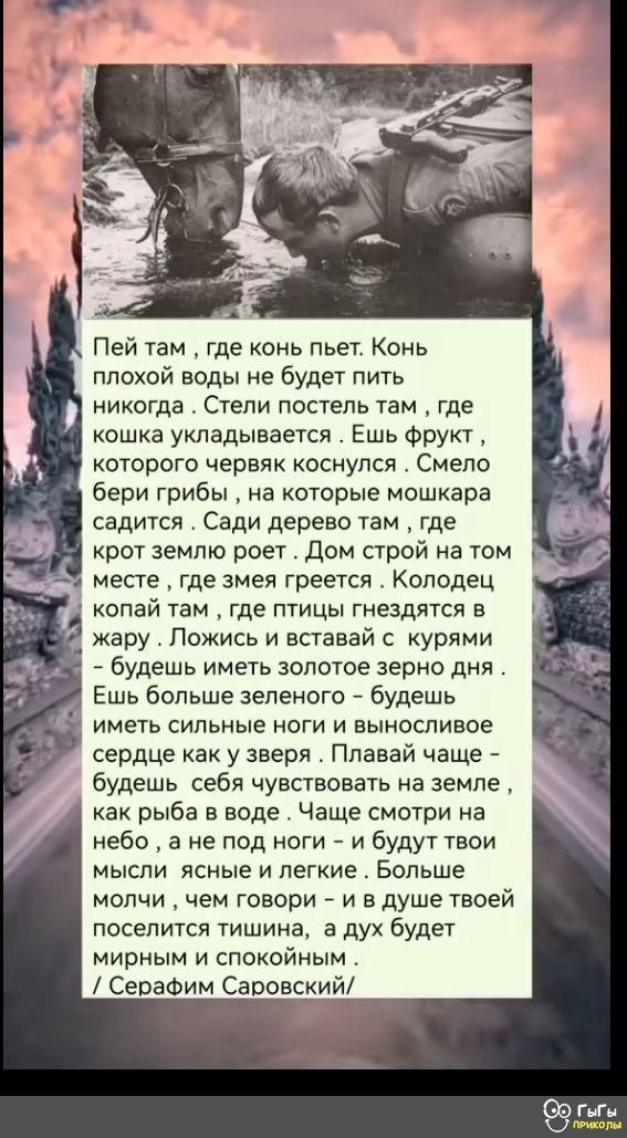 Пей там где конь пьет Конь плохой воды не будет пить никогда Степи постель там где кошка укладывается Ешь Фрукт которого червяк коснулся Смело бери грибы на которые мошкара садится Сади дерево там где крот землю роет Дом строй на том месте где змея греется Колодец копай там где птицы гнездятся в жару Пожись и вставай с курями _ будешь иметь золотое зерно дни Ешь больше зеленого _ будешь иметь силь