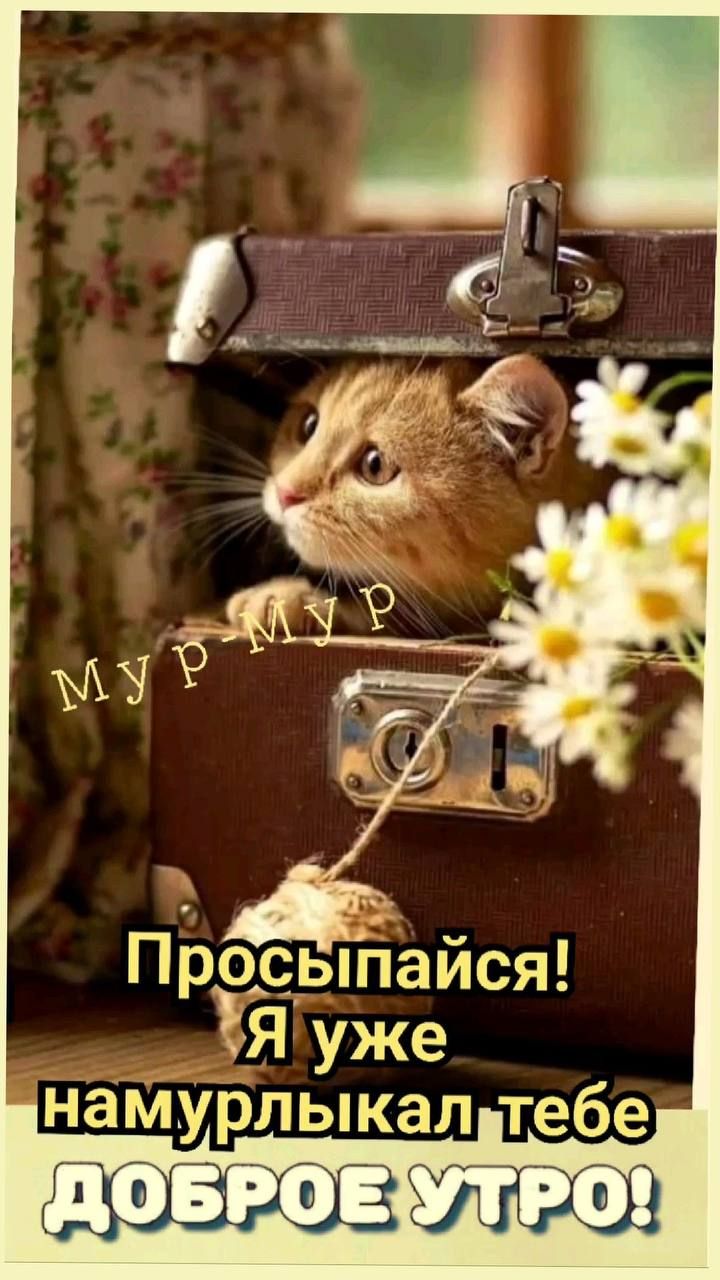 ПЬо_ыЁайся ЗЯ уже намурлыкалуьтебе