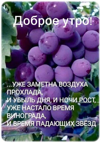 УЖЕ ЗАМЕТНА ВОЗДУХА пррхл Ь ДНЯ И ноЧИ ВоСт АСТАЛО ВРЕМЯ