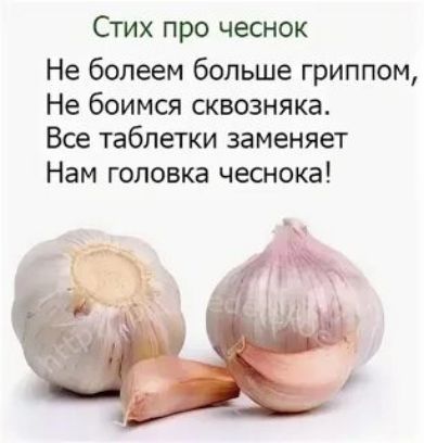 Стих про чеснок Не болеем больше гриппом Не боимся сквозняка Все таблетки заменяет Нам головка чеснока