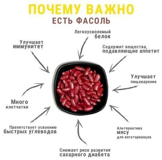 ПОЧЕМУ ВАЖНО ЕСТЬ ФАСОЛЬ Легкоусвояемый белок Улучшает иммунитет Содержит вещества подавляющие аппетит Улучшает оищеварение Много клетчатки Препятствует усвоению Альтернативы быстрых углеводов мясу ля вегетарианцен Снижает риск развития сахарного диабета