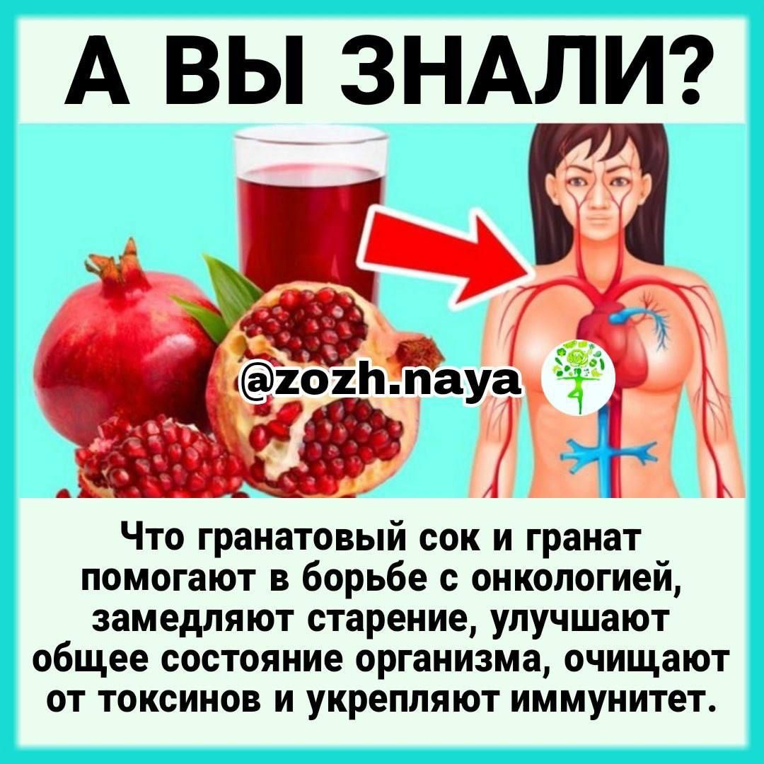 А ВЫ ЗНАЛИ Что гранатовый сок и гранат помогают в борьбе с онкологией замедляют старение улучшают общее состояние организма очищают от токсинов и укрепляют иммунитет