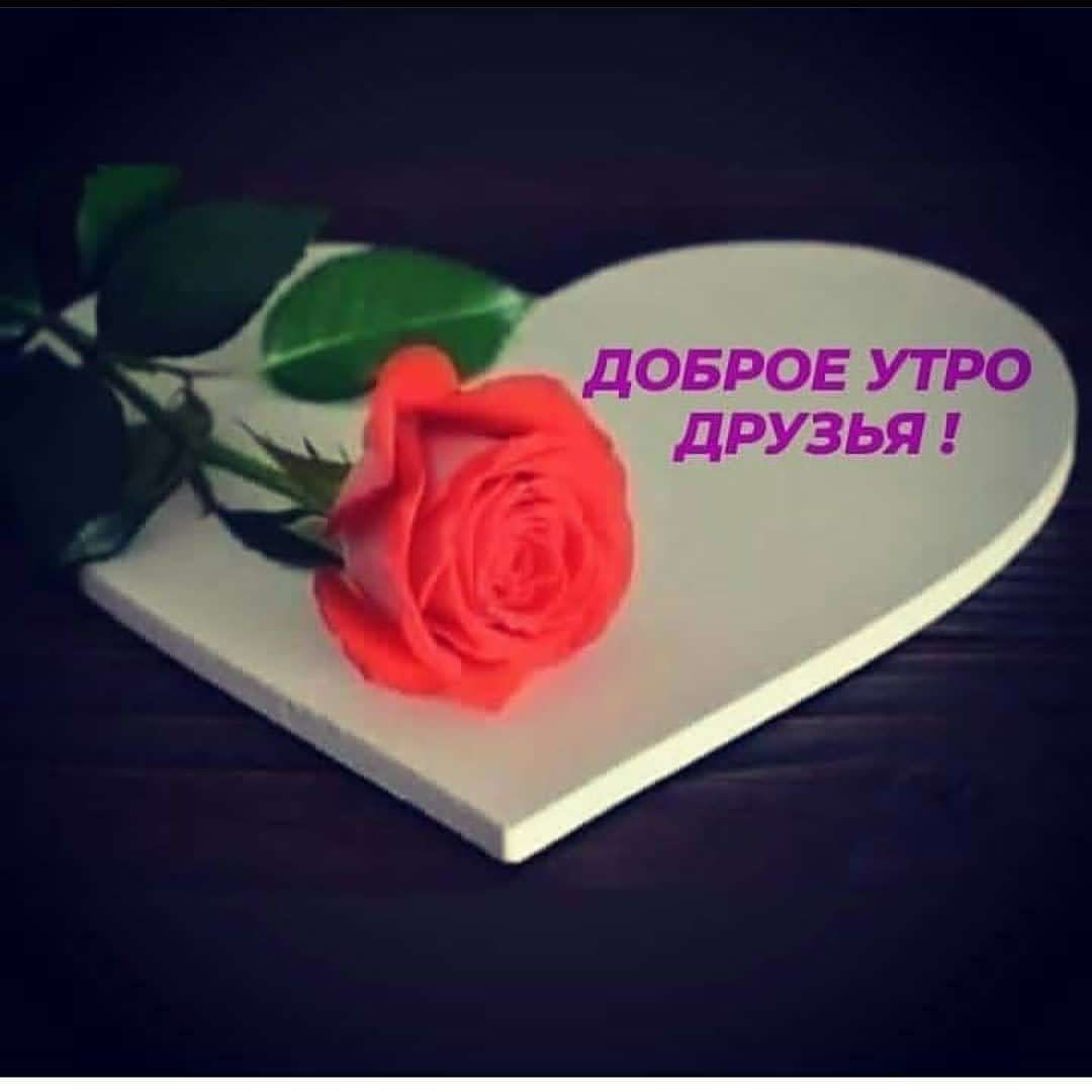 ДОБРОЕ УТРО ДРУЗЬЯ