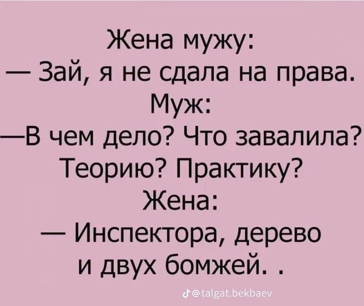 Жена мужу Зай я не сдала на права Муж В чем дело Что завалила Теорию Практику Жена Инспектора дерево и двух бомжей