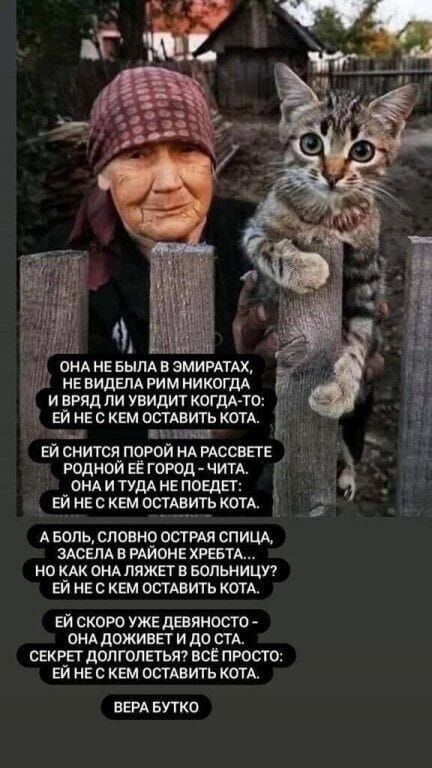 ОНАНЕБЫЛА В ЭМИРАТАХ НЕВИДЕЛА РИМ НИКОГДА ИВРЯД ЛИ УВИДИТ КОГДА ТО ЕЙ НЕС КЕМ ОСТАВИТЬ КОТА Ё ай е лоч М ЕЙ СНИТСЯ ПОРОЙ НА РАССВЕТЕ РОДНОЙ ЕЁ ГОРОД ЧИТА ОНАИ ТУДА НЕПОЕДЕТ ЕЙ НЕСКЕМ ОСТАВИТЬ КОТА АБОЛЬ СЛОВНО ОСТРАЯ СПИЦА ЗАСЕЛА В РАЙОНЕ ХРЕБТА НО КАК ОНА ЛЯЖЕТ В БОЛЬНИЦУ ЕЙ НЕС КЕМ ОСТАВИТЬ КОТА ЕЙ СКОРО УЖЕ ДЕВЯНОСТО ОНА ДОЖИВЕТ И ДО ТА СЕКРЕТ Д
