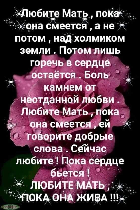 Жюбите Мать пока эЖона смеется а не х потом наД холмиком земли Потомлишь горечьв сердце э у остается Боль камнем от д неотданной любви ЛюбитеМать покая она смеетсяйей тоВоритё добрые слова Сейчас любите Пока сердце бвется ЛЮБИТЕ МАТЬ ЭПОКА ОНА ЖИВА П