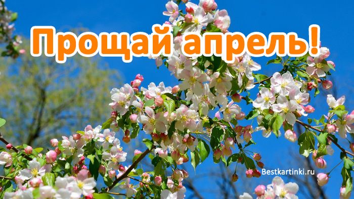 Прощай апрель!