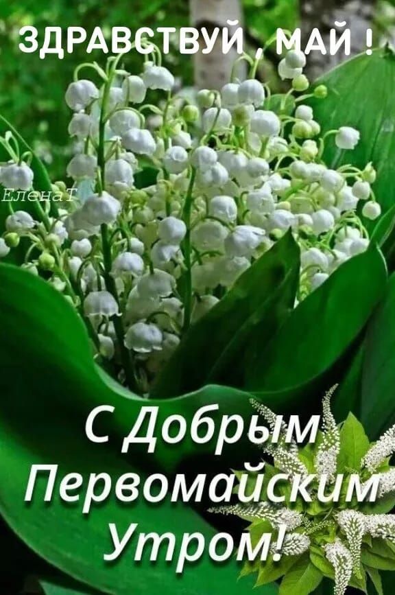 ЗДРАВСТВУЙ, МАЙ! С Добрым Первомайским Утром!