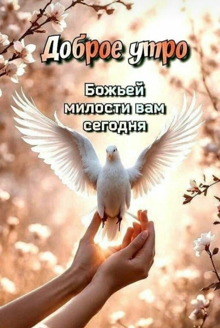 Доброе утро
Божьей милости вам сегодня