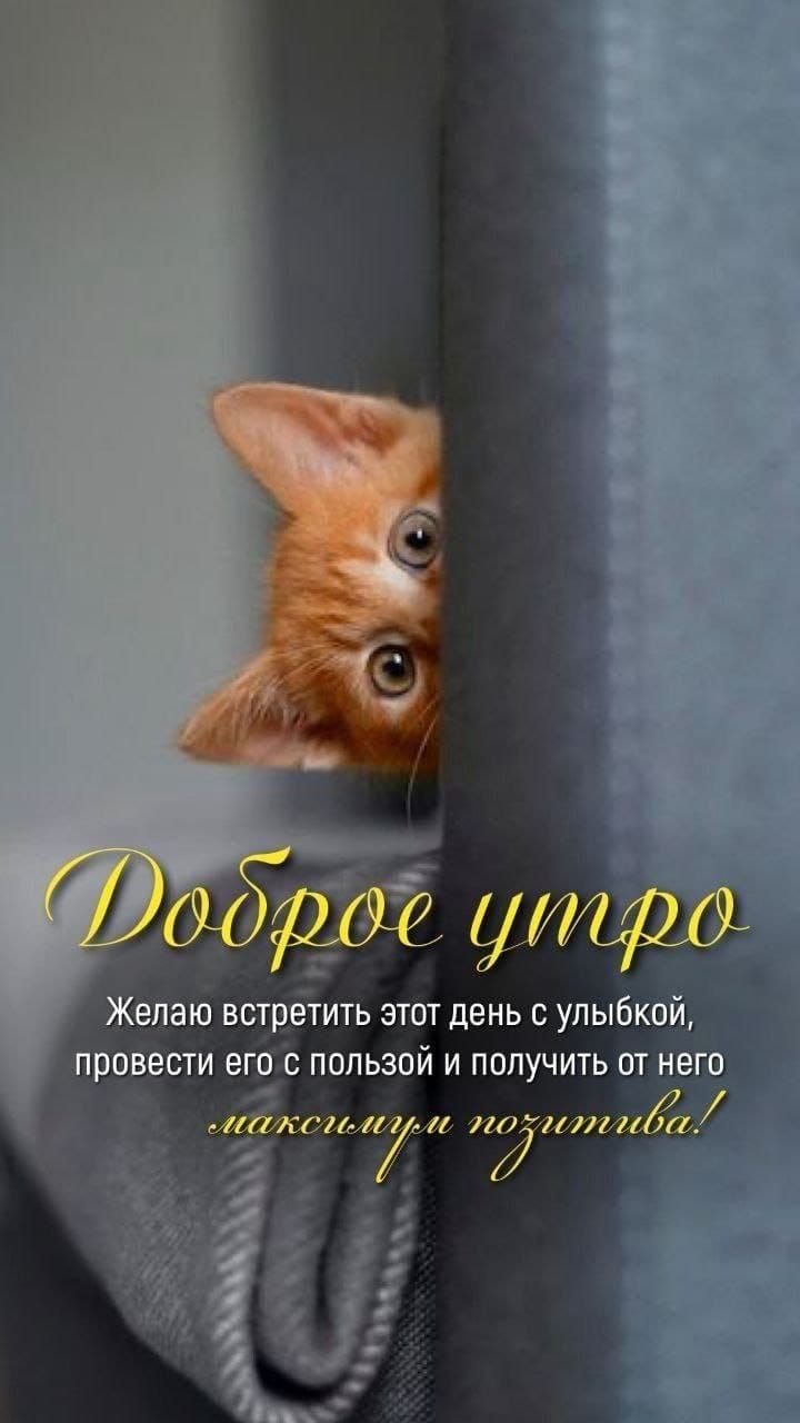 Доброе утро! Желаю встретить этот день с улыбкой, провести его с пользой и получить от него максимум позитива!