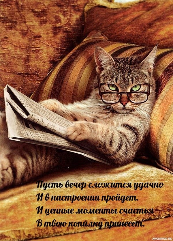 Пусть вечер сложится удачно
И в настроении пройдет.
И ценные моменты счастья
В твою копилку пришлет.