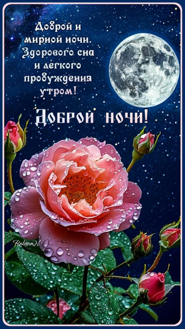 Доброй и мирной ночи. Здорового сна и легкого пробуждения утром! Доброй ночи!