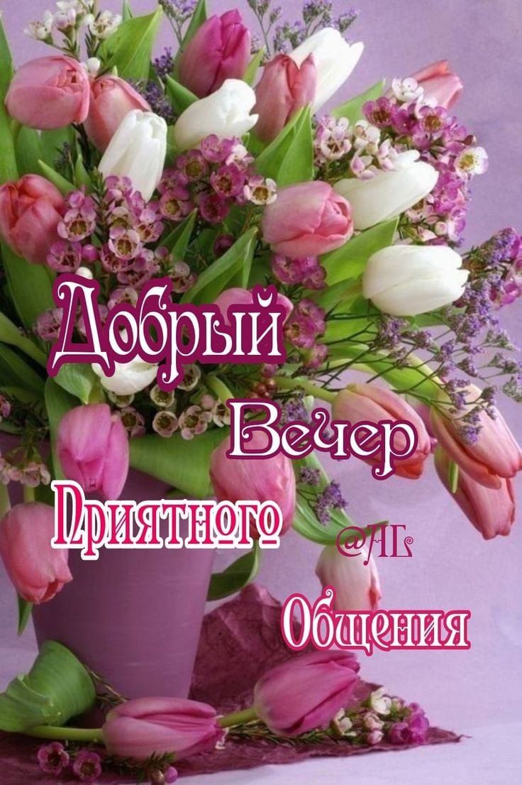 Добрый Вечер Приятного Общения