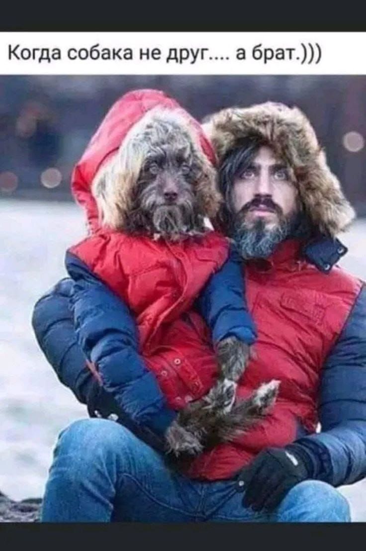 Когда собака не друг.... а брат.)))