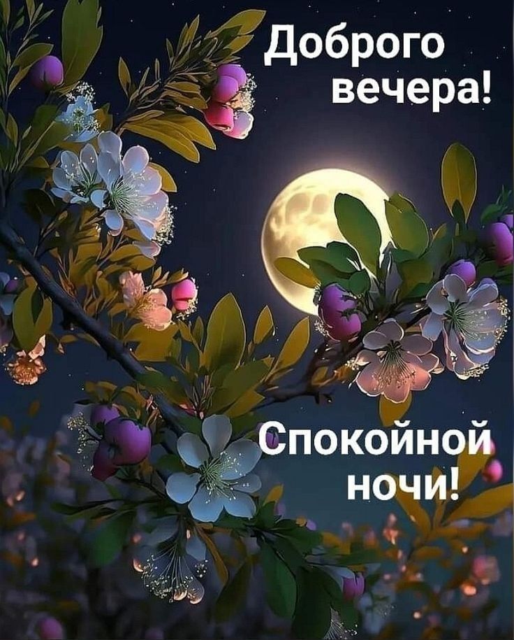 Доброего вечера! Спокойной ночи!