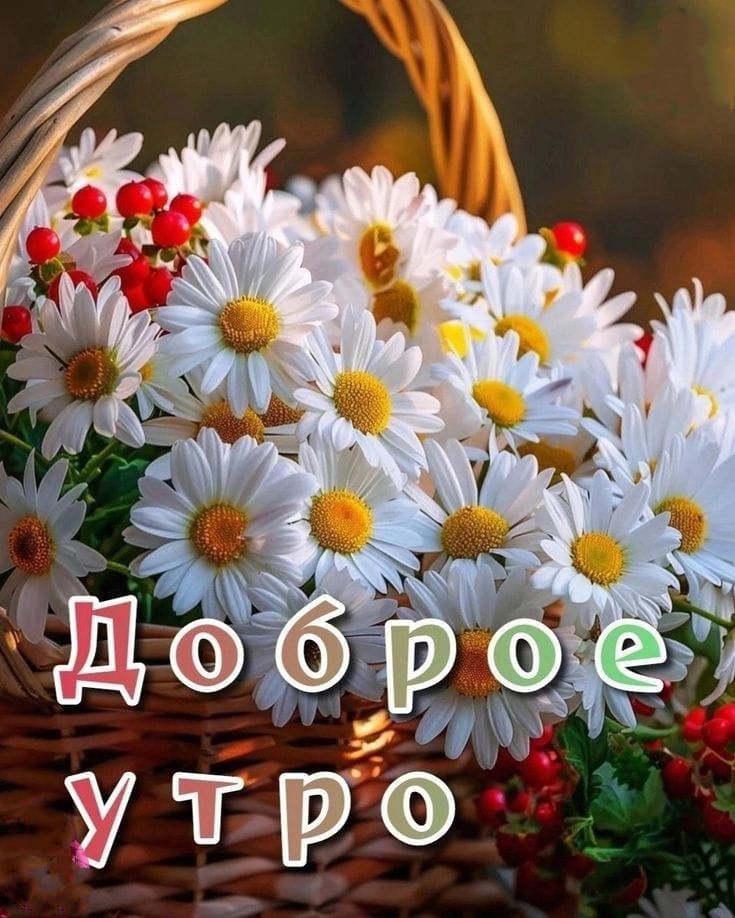 Доброе утро