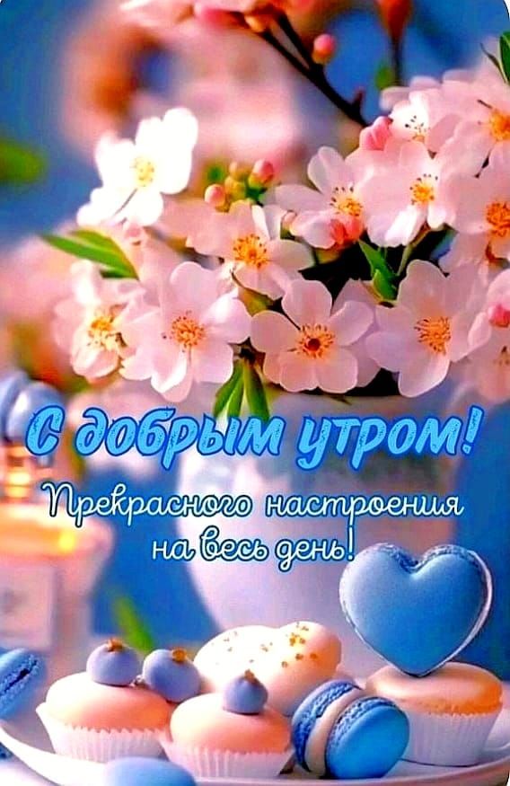 С добрым утром! Прекрасного настроения на весь день!