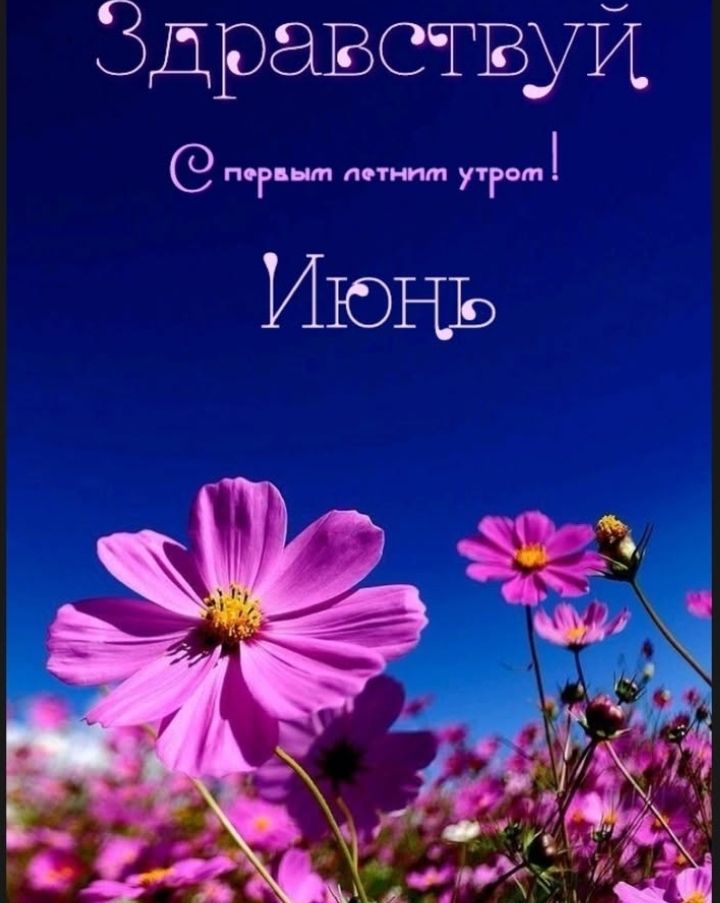 Здравствуйте
С первым летним утром!
Июнь