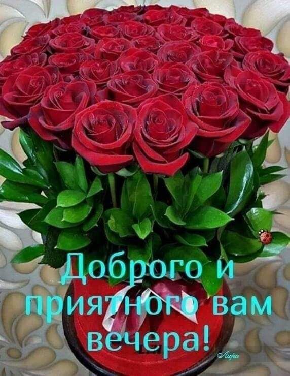 Доброgo и приятного вам вечера!