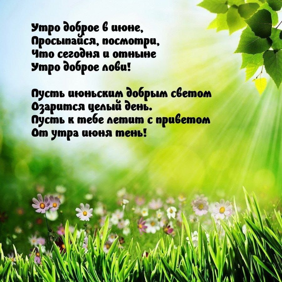 Утро доброе в июне,
Просыпайся, посмотри,
Что сегодня и отныне
Утро доброе лови!

Пусть июньским добрым светом
Озарится целый день.
Пусть к тебе летит с приветом
От утра июня тень!