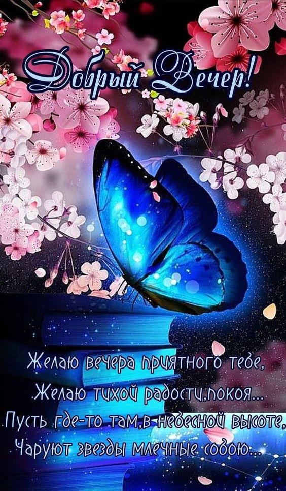 Добрый Вечер!
Желаю вечера приятного тебе.
Желаю тихой радости, покоя...
Пусть где-то там, в небесной высоте, чаруют звёзды млечные собою...