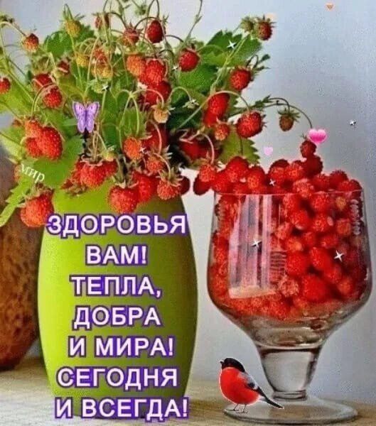 ЗДОРОВЬЯ ВАМ! ТЕПЛА, ДОБРА И МИРА! СЕГОДНЯ И ВСЕГДА!