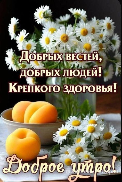 Добрых вестей, добрых людей! Крепкого здоровья! Доброе утро!