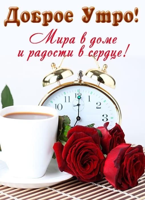 Доброе Утро! Мира в доме и радости в сердце!