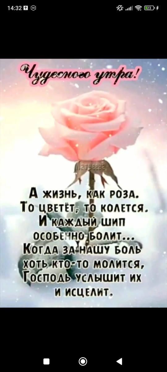 Чудесного утра!
А жизнь, как роза.
То цветёт, то колется.
И каждый шип особенно болит...
Когда за нашу боль хоть кто-то молится, Господь услышит их и исцелит.