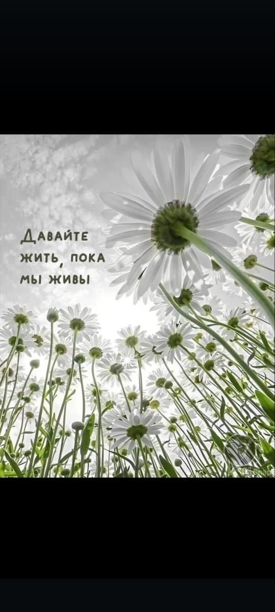 Давайте жить, пока мы живы