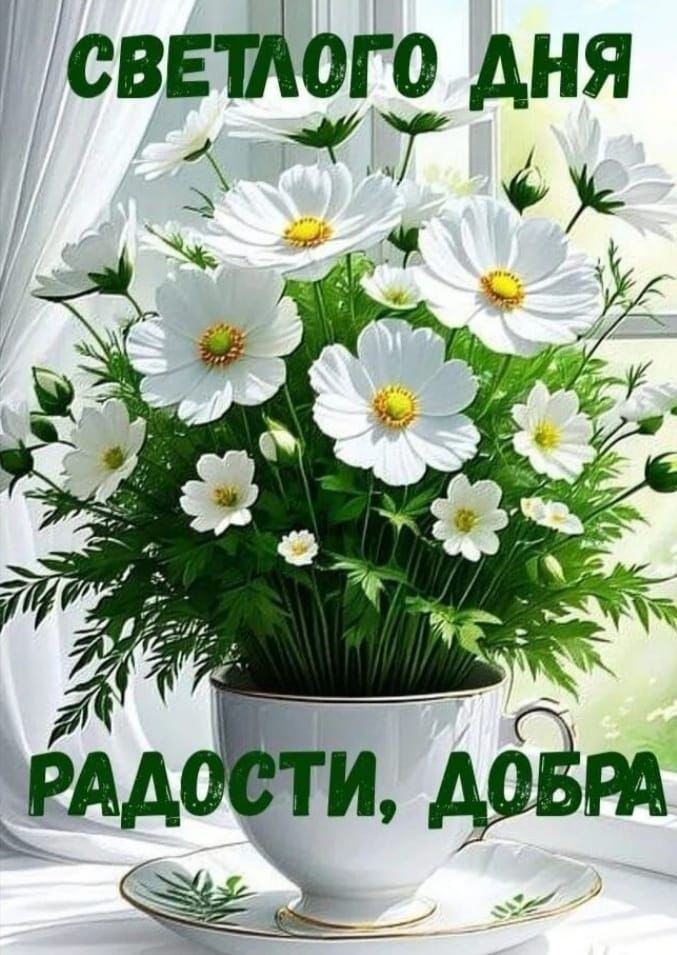 Светлого дня радости, добра
