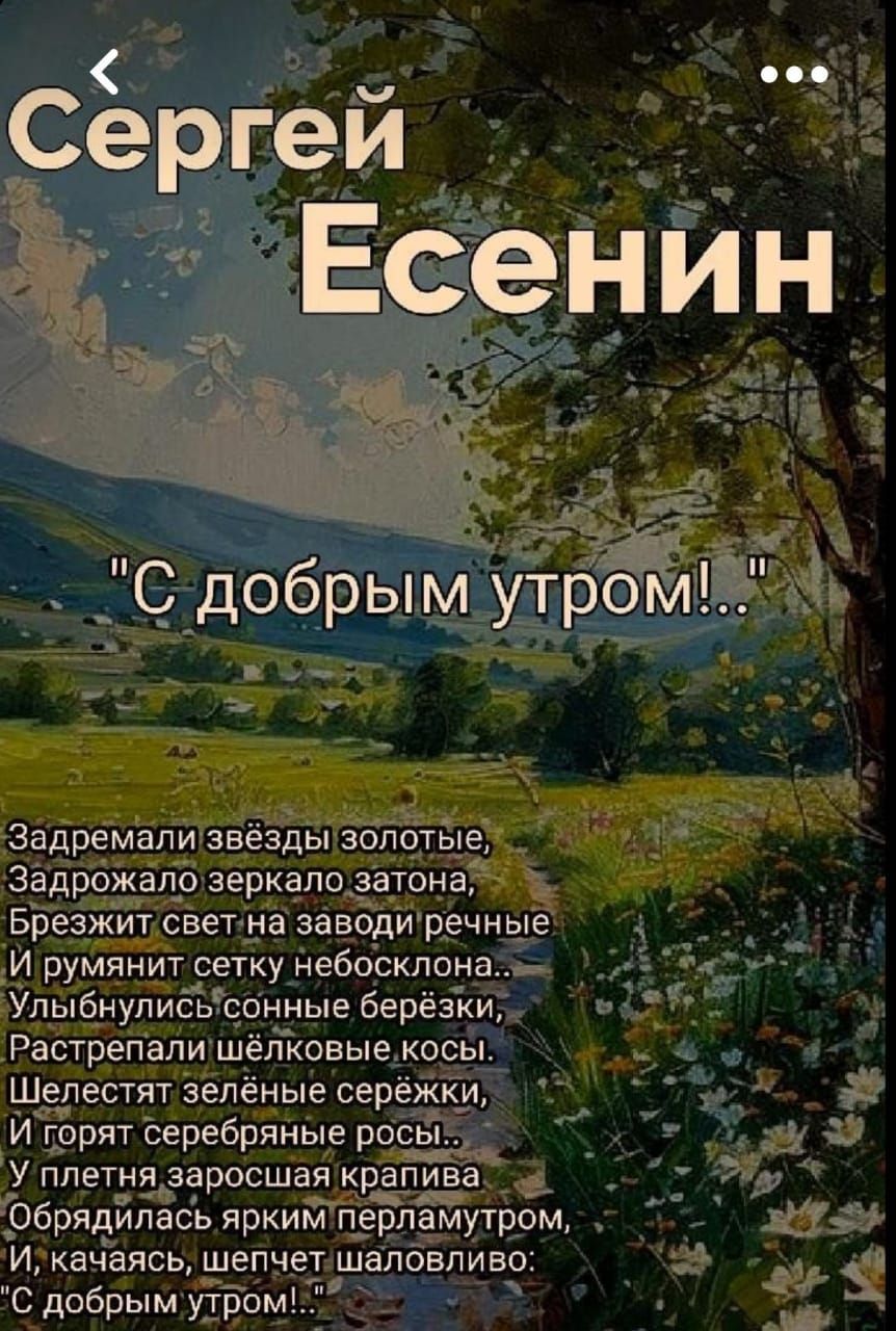 С добрым утром!..

Задремали звёзды золотые,
Задрожалo зеркало затона,
Брежит свет на заводи речные
И румянит сетку небосклона...
Улыбнулись сонные берёзки,
Растрепали шёлковые косы.
Шелестят зелёные серёжки,
И горят серебряные росы...
У плетня заросшая крапива
Обняла ярким перламутром,
И, качаясь, шепчет шаловливо:
