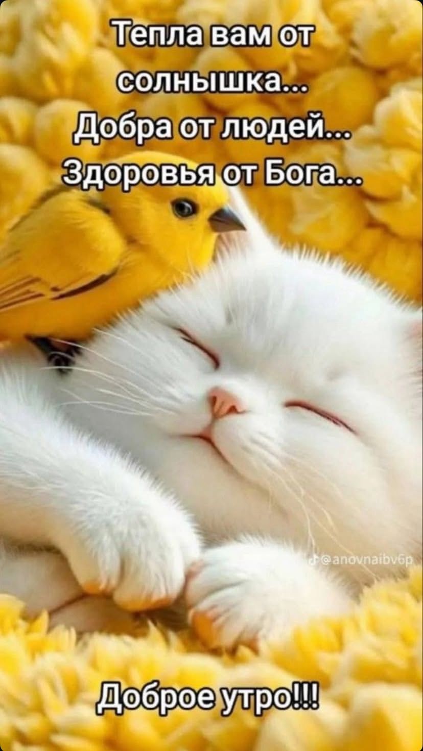 Тепла вам от солнышка... Добра от людей... Здоровья от Бога... Доброе утро!!!