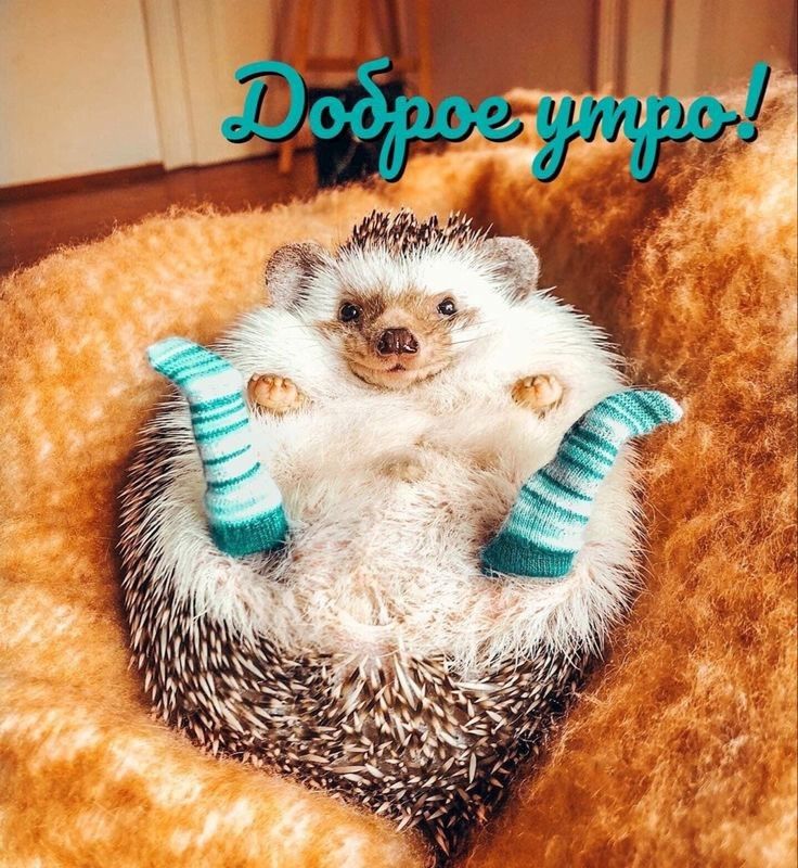 Доброе утро!