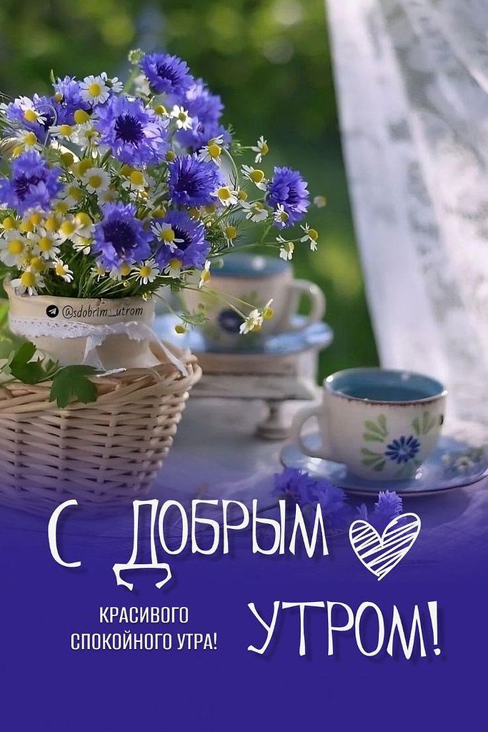 С ДОБРЫМ УТРОМ! КРАСИВОГО СПОКOINОГО УТРА!