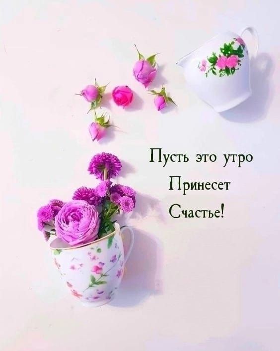 Пусть это утро Принесет Счастье!