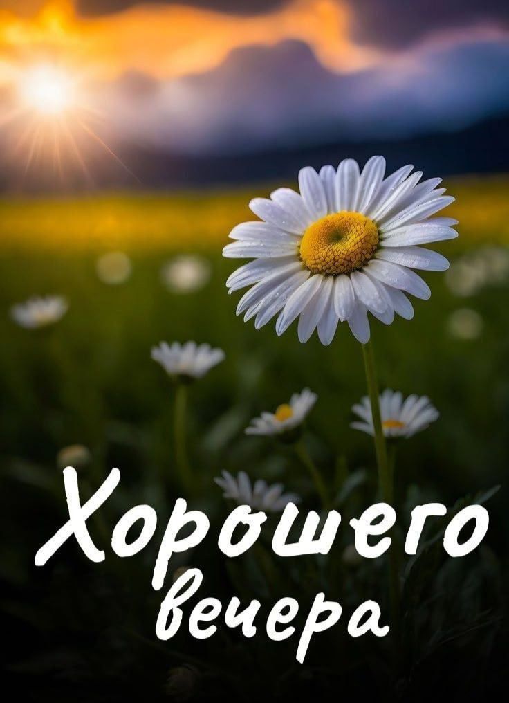 Хорошего вечера
