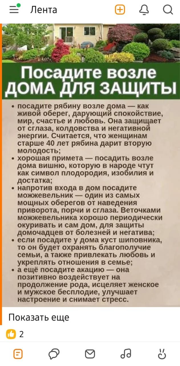Посадите возле ДОМА ДЛЯ ЗАЩИТЫ

• посадите рябину возле дома — как живой оберег, дарующий спокойствие, мир, счастье и любовь. Она защищает от сглаза, колдовства и негативной энергии. Считается, что женщинам старше 40 лет рябина дарит вторую молодость;

• хорошая примета — посадить возле дома вишню, которую в народе чтут как символ плодородия, изобилия и достатка;

• напротив входа в дом посадите можжевельник — один из самых мощных оберегов от наведений приворота, порчи и сглаза. Веточками можжевельника хорошо периодически окуривать сам дом, для защиты домочадцев от болезней и негатива;

• если посадите у дома куст шиповника, то он будет охранять благоразумие семьи, а также привлекать любовь и укреплять отношения в семье;

• а ещё посадите акацию — она положительно воздействует на продолжение рода, исцеляет женское и мужское бесплодие, улучшает настроение и снимет стресс.