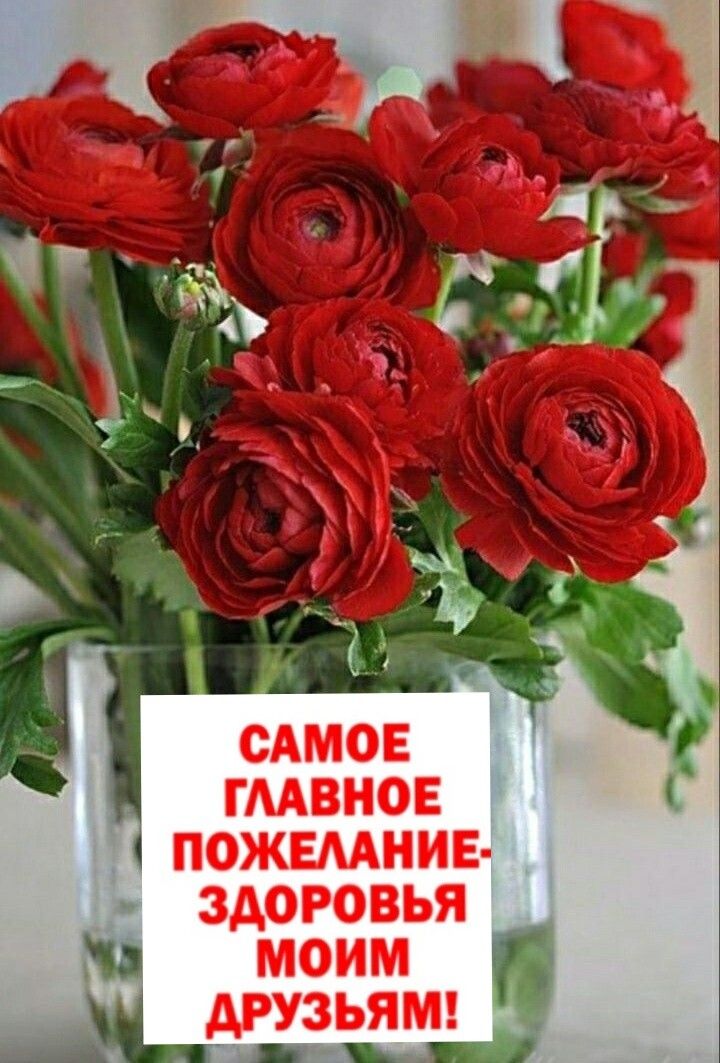 САМое ГЛАВное ПОЖЕЛАНИЕ-ЗДОРОВЬЯ МОИМ ДРУЗЬЯМ!