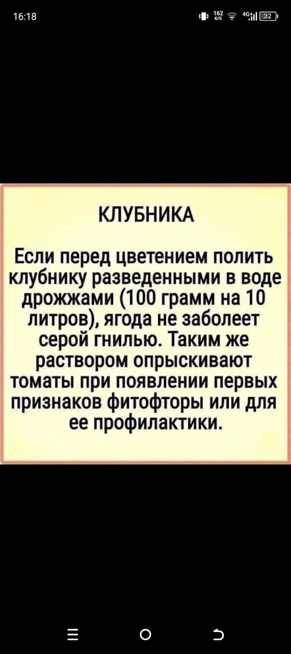 КЛУБНИКА

Если перед цветением полить клубнику разведенными в воде дрожжами (100 грамм на 10 литров), ягода не заболеет серой гнилью. Таким же раствором опрыскивают томаты при появлении первых признаков фитофторы или для ее профилактики.