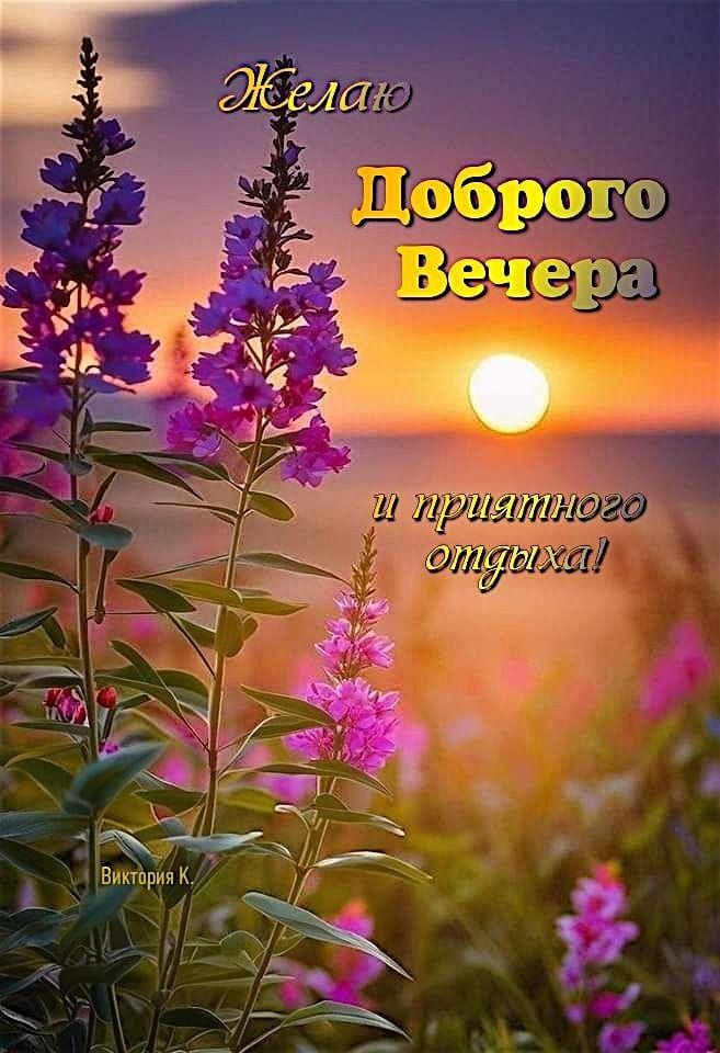 Желаю ДоброГО Вечера и приятного отдыха!