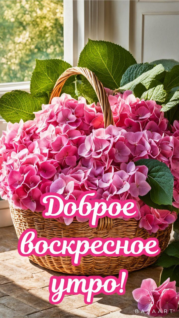 Доброе воскресное утро!