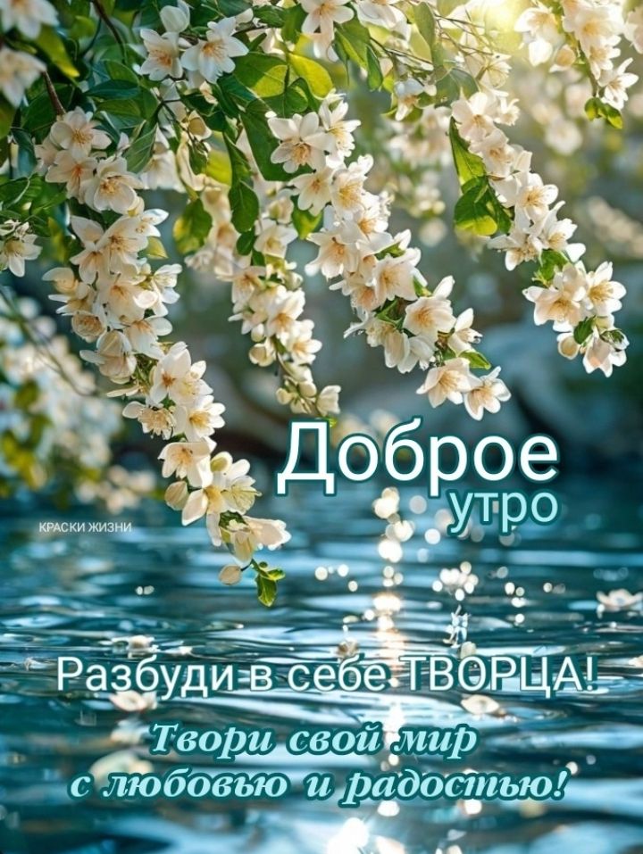 Доброе утро
Разбуди в себе ТВОРЦА!
Твори свой мир с любовью и радостью!