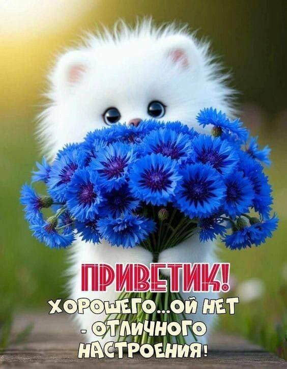 ПРИВЕТИК! ХОРОШЕГО... ой нет - ОТЛИЧНОГО НАСТРОЕНИЯ!