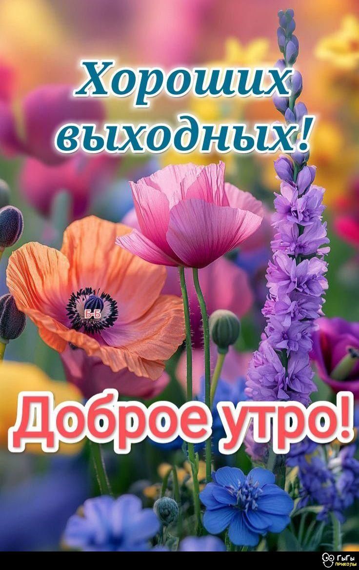 Хороших выходных! Доброе утро!