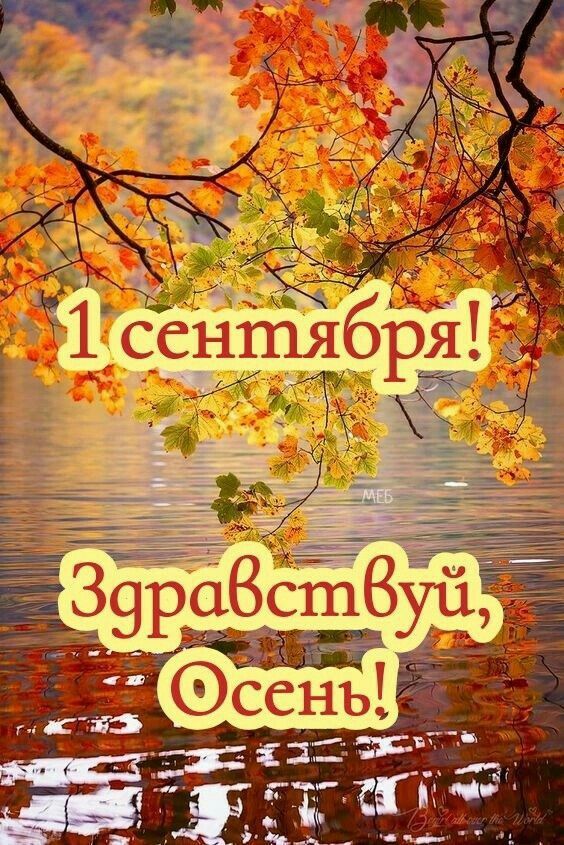 1 сентября! Здравствуй, Осень!