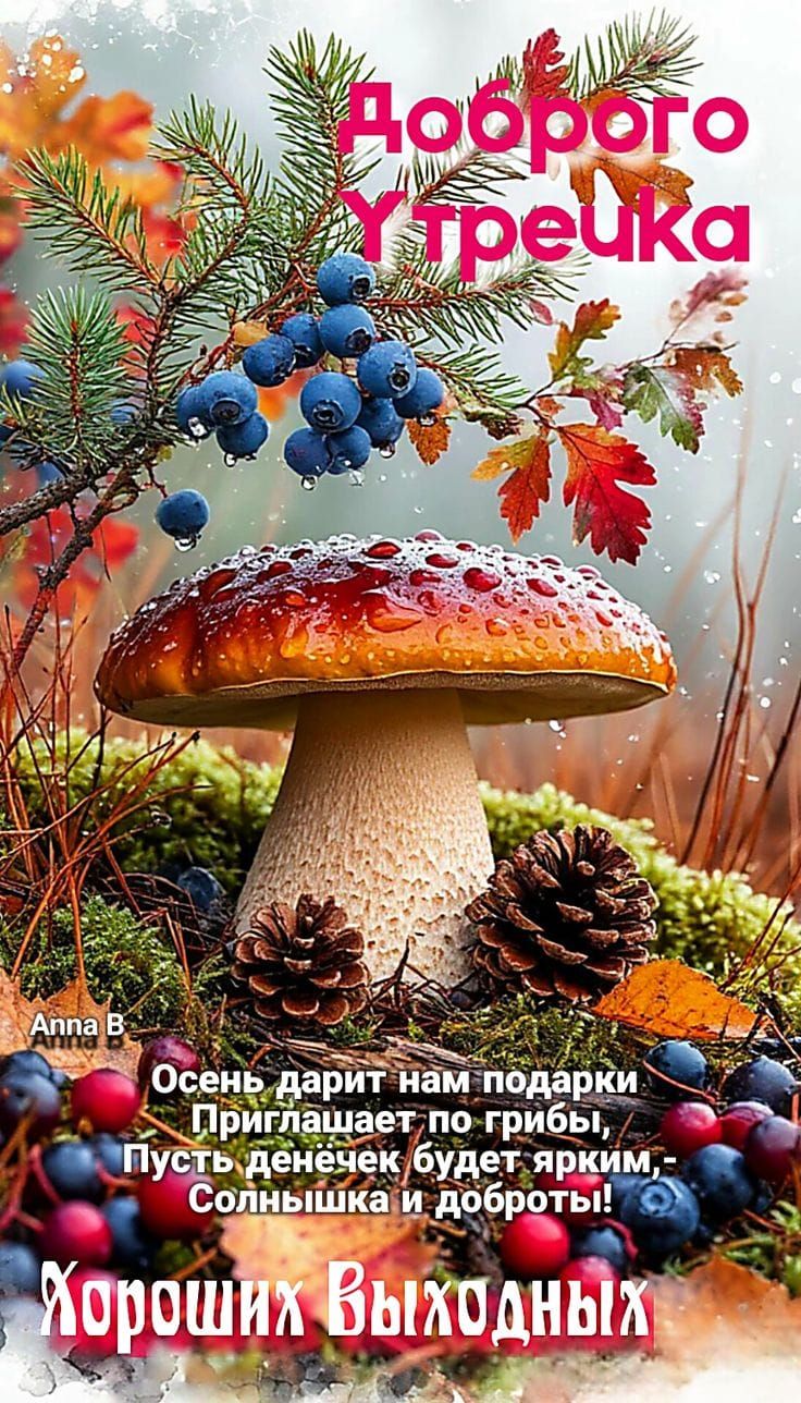 Доброго Утрека
Осень дарит нам подарки
Приглашает по грибы,
Пусть денежек будет ярким,
Солнышка и доброты!
Хороших Выходных