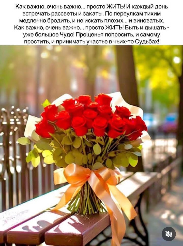 Как важно, очень важно... просто ЖИТЬ! И каждый день встречать рассветы и закаты. По перулкам тихим медленно бродить, и не искать плохих... и виноватых. Как важно, очень важно... просто ЖИТЬ! Быть и дышать - уже большое Чудо! Прощенья попросить, и самим простить, и принимать участие в чьих-то Судьбах!
